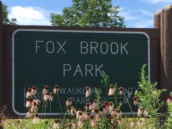 1 Fox Brook Park sign