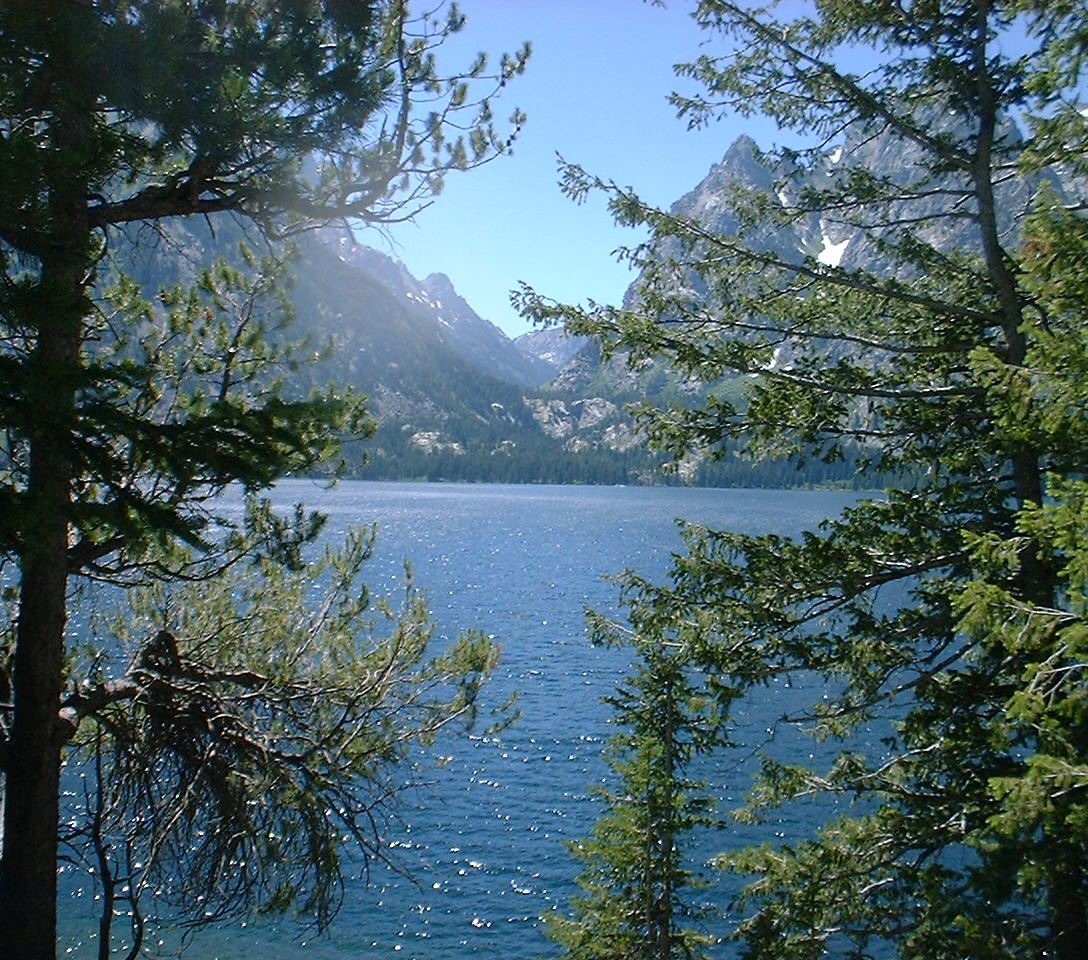 14.Jenny Lake
