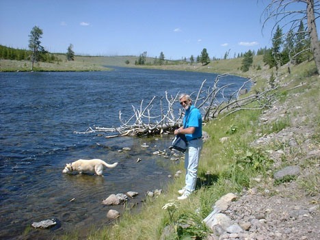 20.Madison Stream, Yellowstone copy