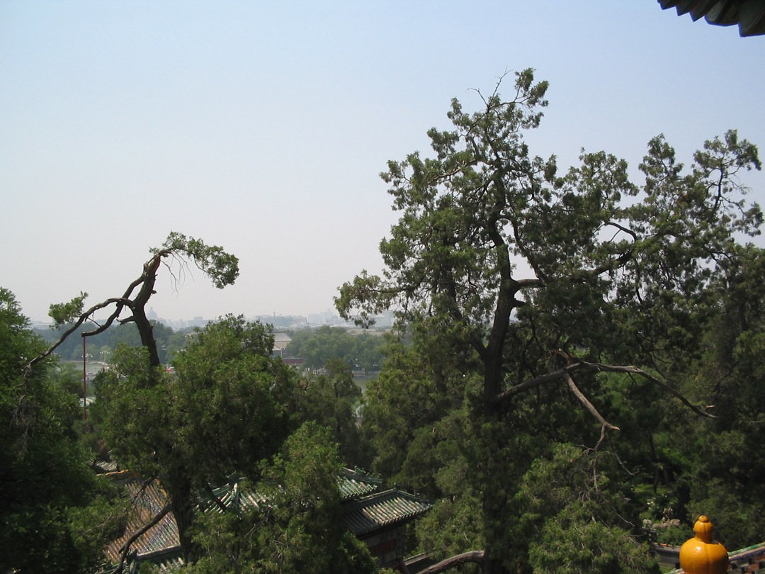 40. View from Beihai park 2