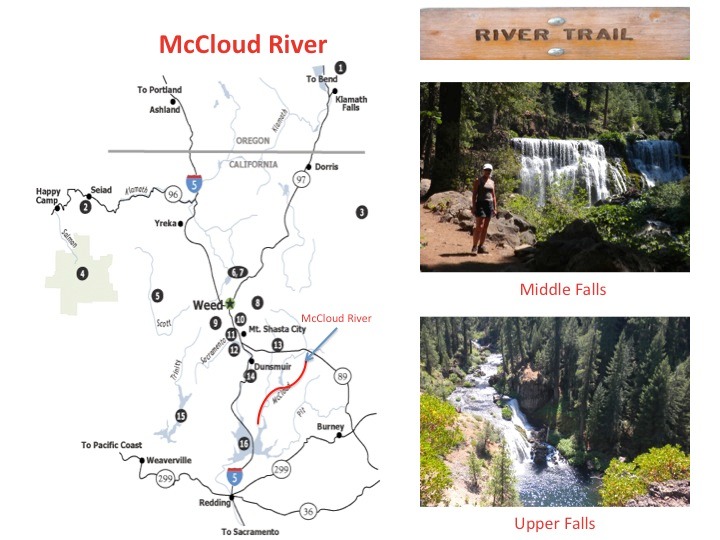 B McCloud River Trail
