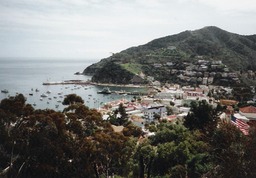 Catalina13