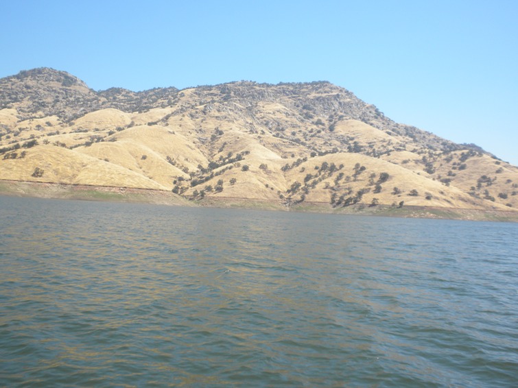 DSCN0310