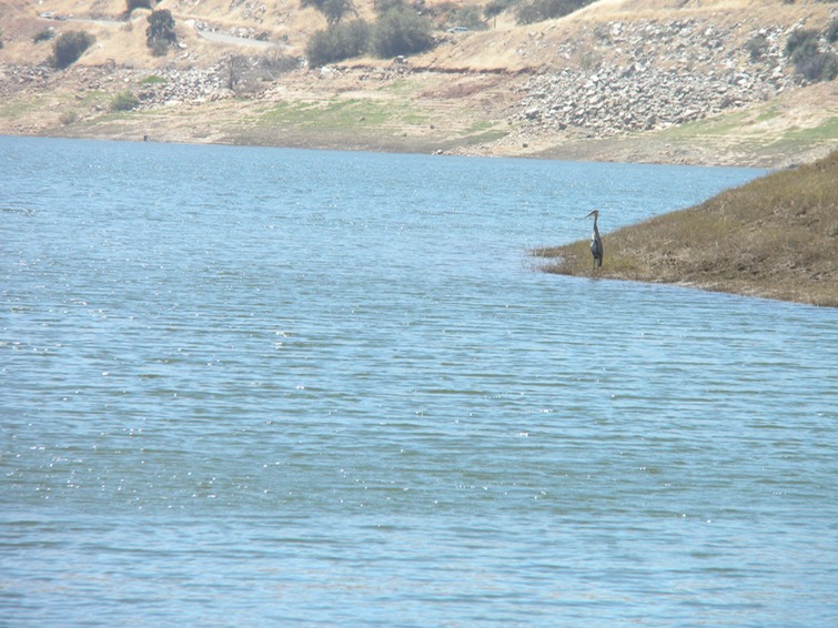 DSCN0317
