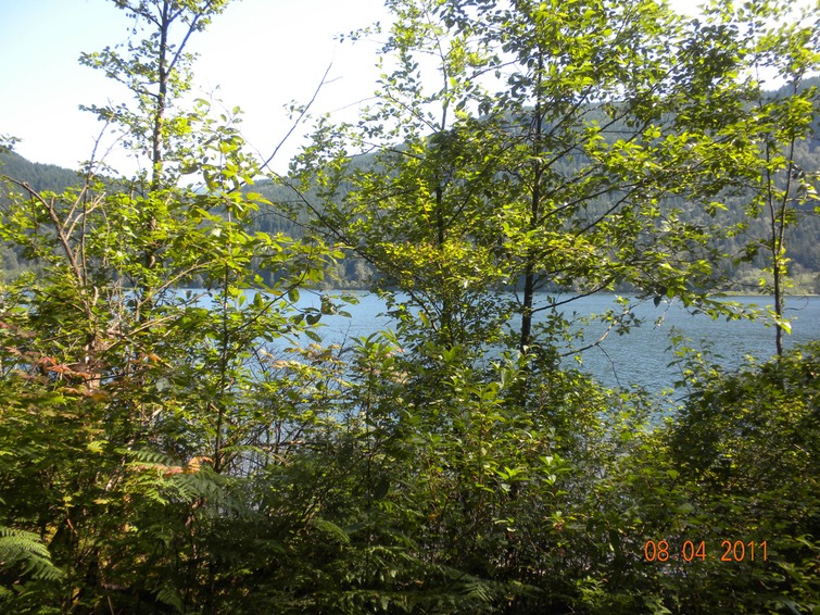 Hicks Lake trail 1