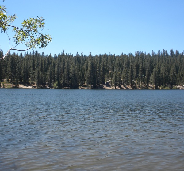 Hume Lake2