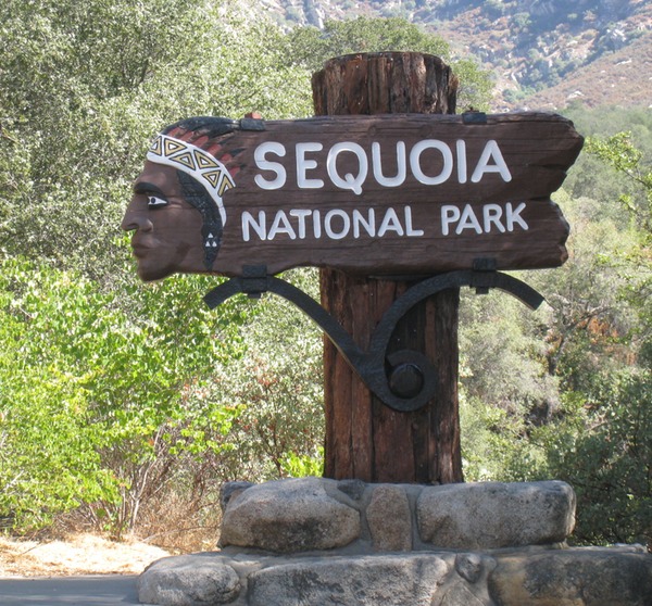 1Sequoia sign