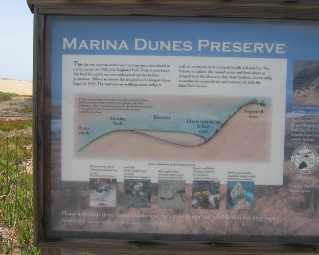Marina Dunes1