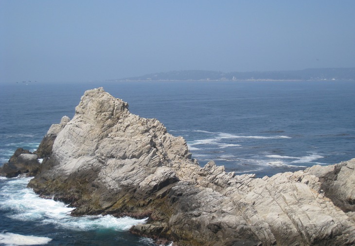 Point Lobos2