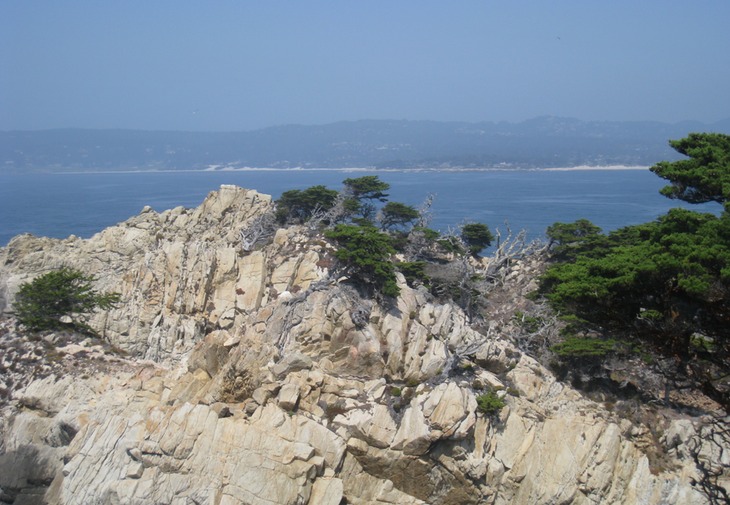 Point Lobos2.JPG 11-35-35-694