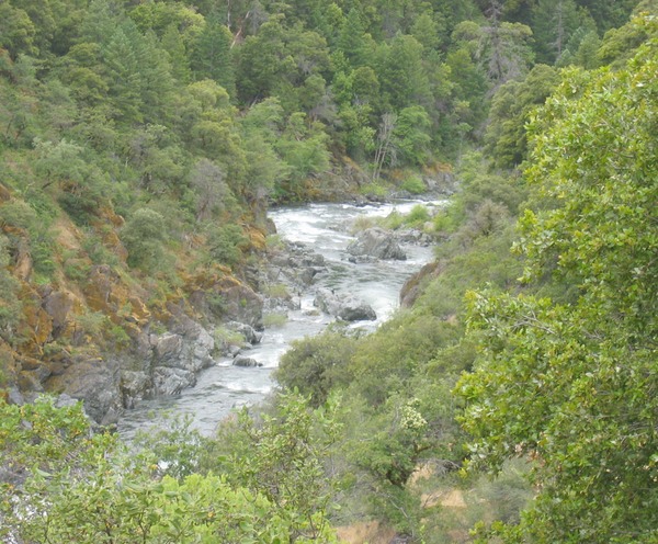 Salmom River