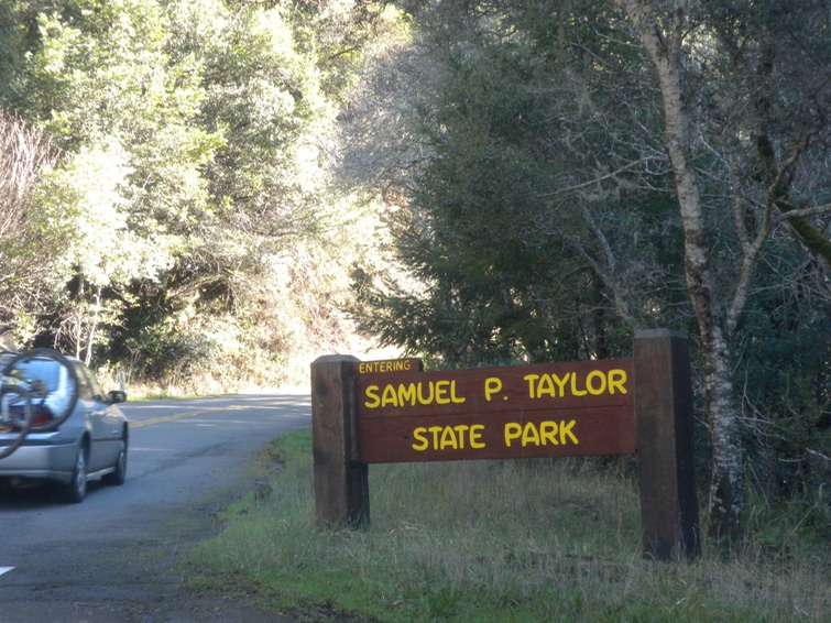 Samuel P. Taylor sign