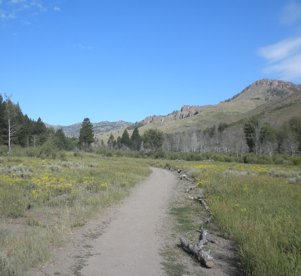 Sawtooth Trail