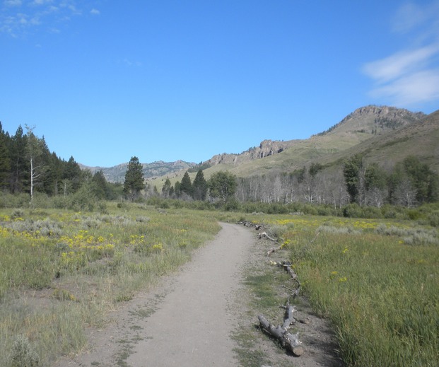 Sawtooth Trail