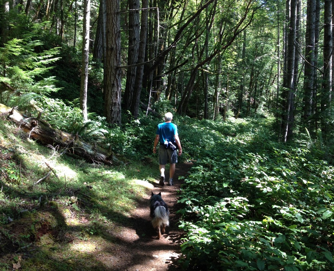 Spruce RR Trail 1